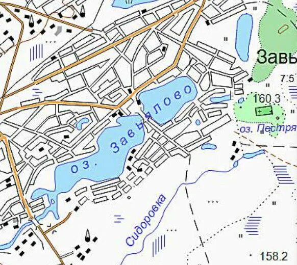 Озеро Завьялово Алтайский край на карте. Алтайский край оз. Завьялово карта. Карта Завьялово Алтайский край с улицами. Карта Завьяловского района Алтайского края с озерами.