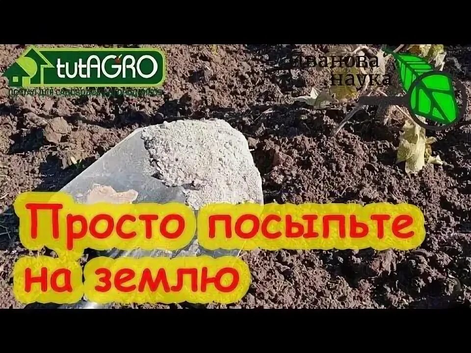 Обработка земли от фитофторы осенью после картофеля