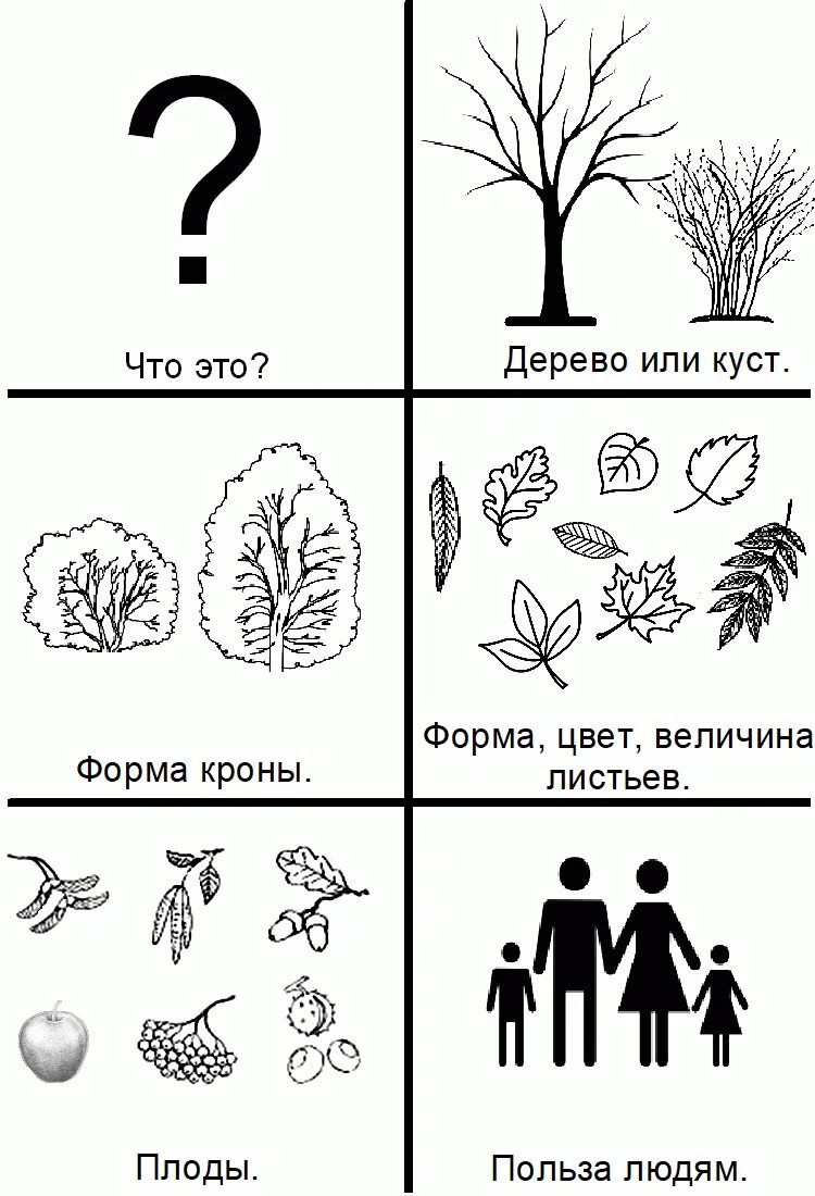 Занятия по развитию речи деревья. Схема для составления описательного рассказа о дереве. схема составления описательного рассказа по теме деревья. составление описательного рассказа по схеме про дерево. схема составления рассказа по картине в подготовительной группе.