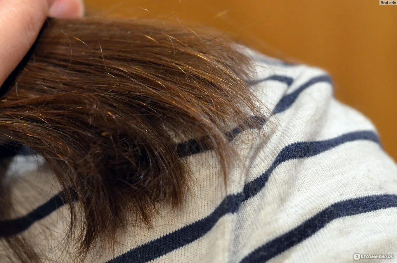 Hair styles, Doll hair, Hair png