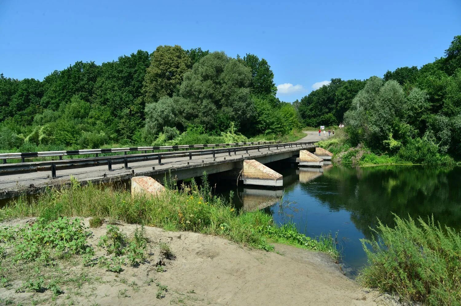 Речка Ольшанка Ртищево. Ртищево река Ольшанка. Река Ольшанка мост. Мост через реку в Хопре Пензенская область.