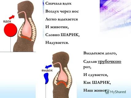 Сиди вдоха