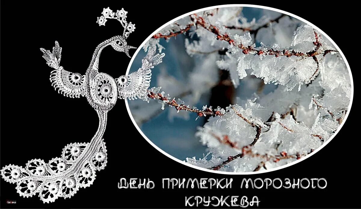 Стихи о плетении кружев. Вологодское кружево информация. Стихи про кружево. Кружева стихи. Стихотворение о кружевах.