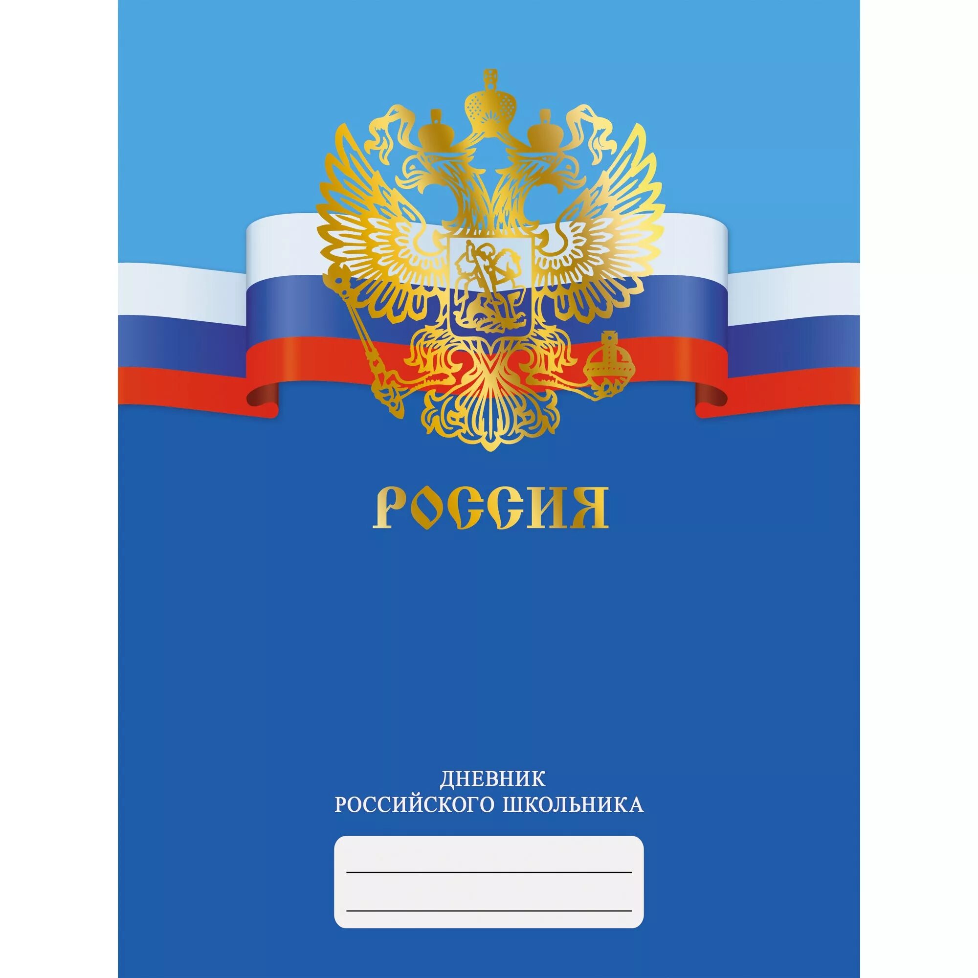 Дневник 51 киров. Дневник российского школьника. Обложка для дневника. Дневник школьника начальных классов. Дневник школьника с Российской символикой.