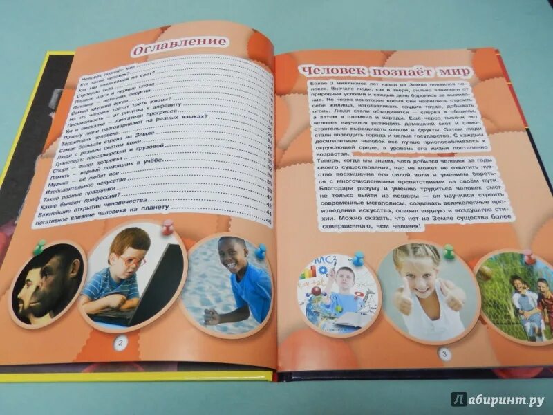 Книга животные у нас дома. Детская энциклопедия обо всем. Кошевар д в. Большая энциклопедия о боб всём на свете. Книга кошевар «животные».