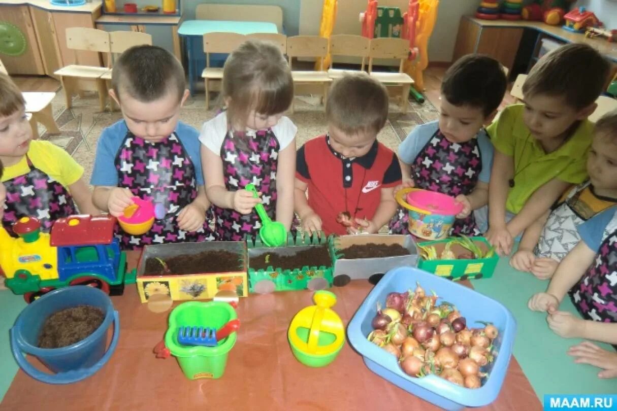 Дети сажают лук в детском саду.