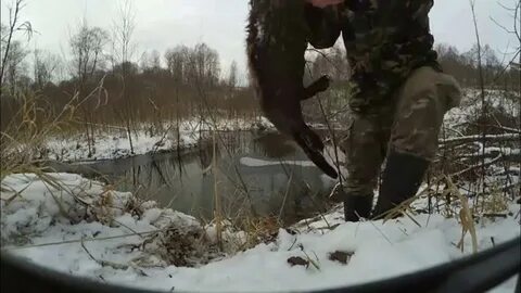 Петля на бобра видео