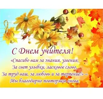 Поздравления учителю в стихах красивые короткие