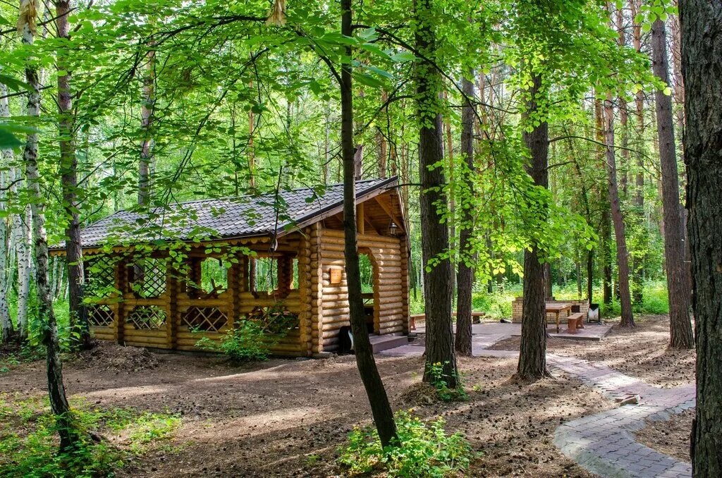 Дендропарк подгородка омск. Омск подгородка база. Подгородка омск. Усадьба грибанова омск. Подгородка омск.