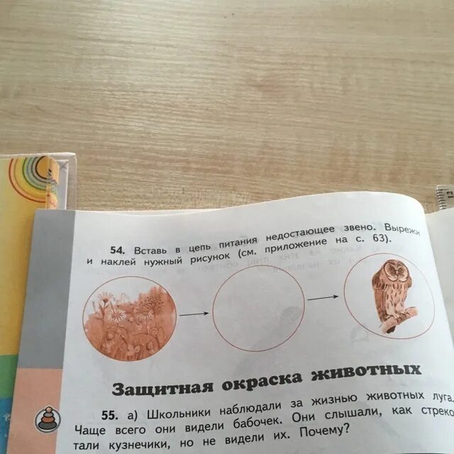 Недостающие звенья в цепях питания. Недостающие звенья в цепях питания. Вставить цепи питания. Вставь в цепь питания недостающие. Вставь в цепи питания недостающие звенья.