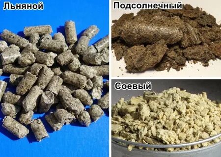 Куда девать жмых