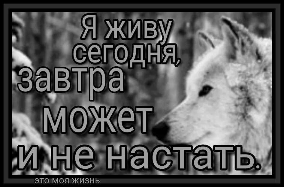 Живите сегодня потому. Живи сегодняшним днем. А завтра завтра может и не быть. Жить завтрашним днем. Завтра может не наступить цитаты.