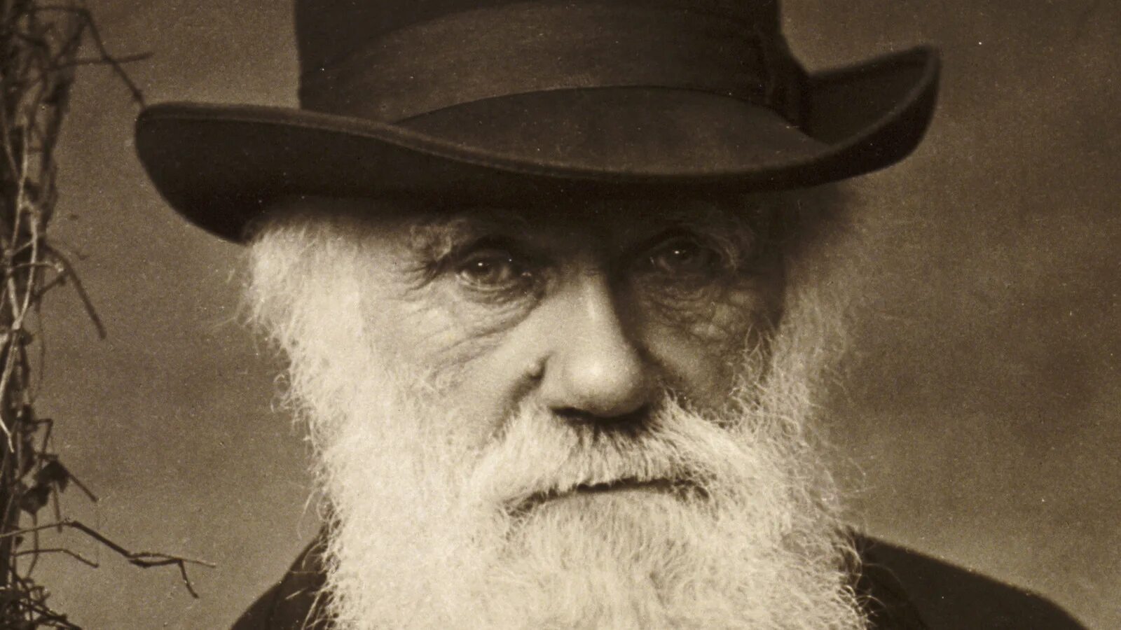 Дарвин это. Ч Дарвин портрет.