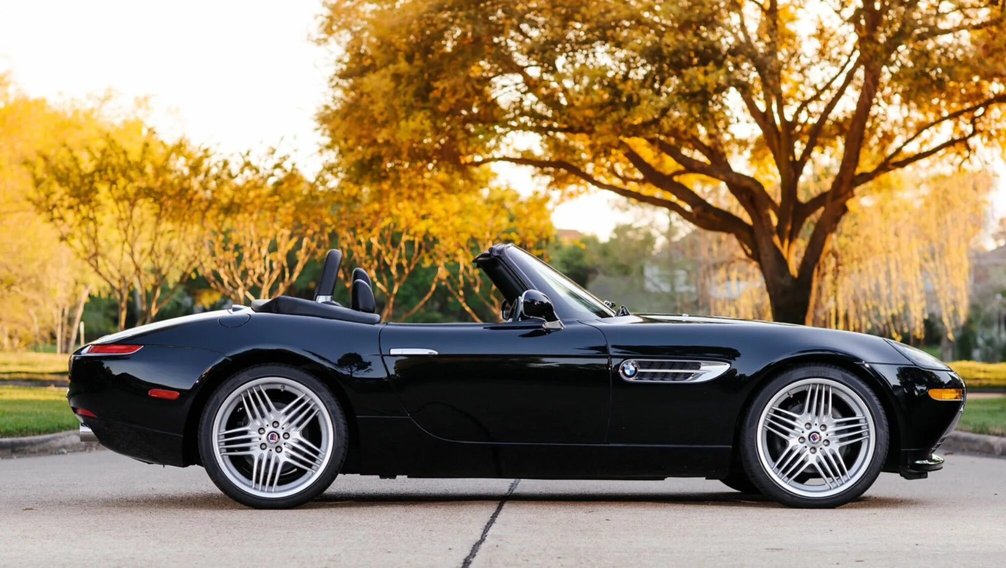 Z 8 1