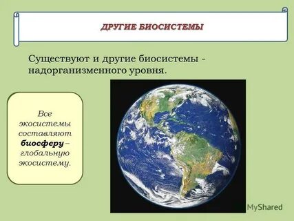 Биосистемы