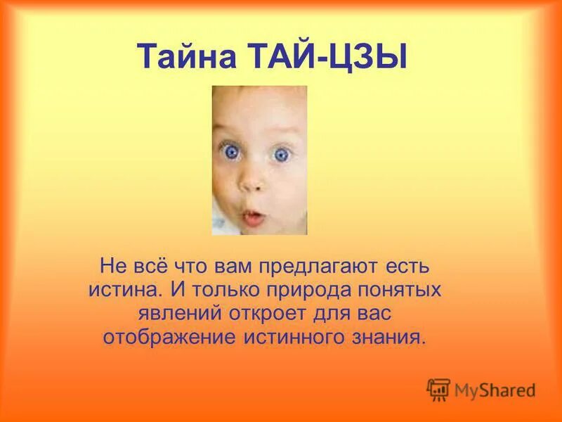 что означают символы «у-цзи» и «тай цзи»?. секреты тая. великий предел. альбом метро. ната тайна тай.