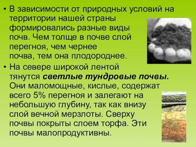 Земля кормилица 4 класс окружающий мир. Презентация на тему почва. Луговая почва. Типы почв тундровые подзолистые. Земля кормилица.