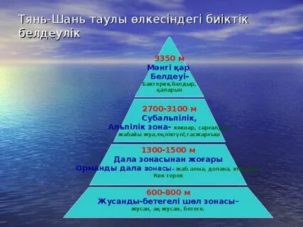 Порнографиялық қара жігіт трахает Чехов в письки бар қалың мүшесі.