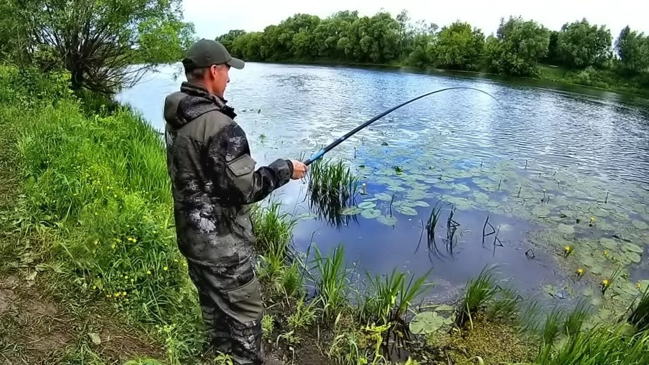 Рыбалка с берега карася. Рыбалка на поплавочную удочку. Поплавок для рыбалки. Удочка для рыбалки. Рыбалка летом.