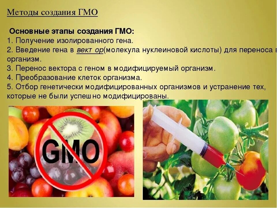 Гмо информация. Гмо продукты. гмо презентация. генномодифицированные организмы. генномодифицированные продукты.