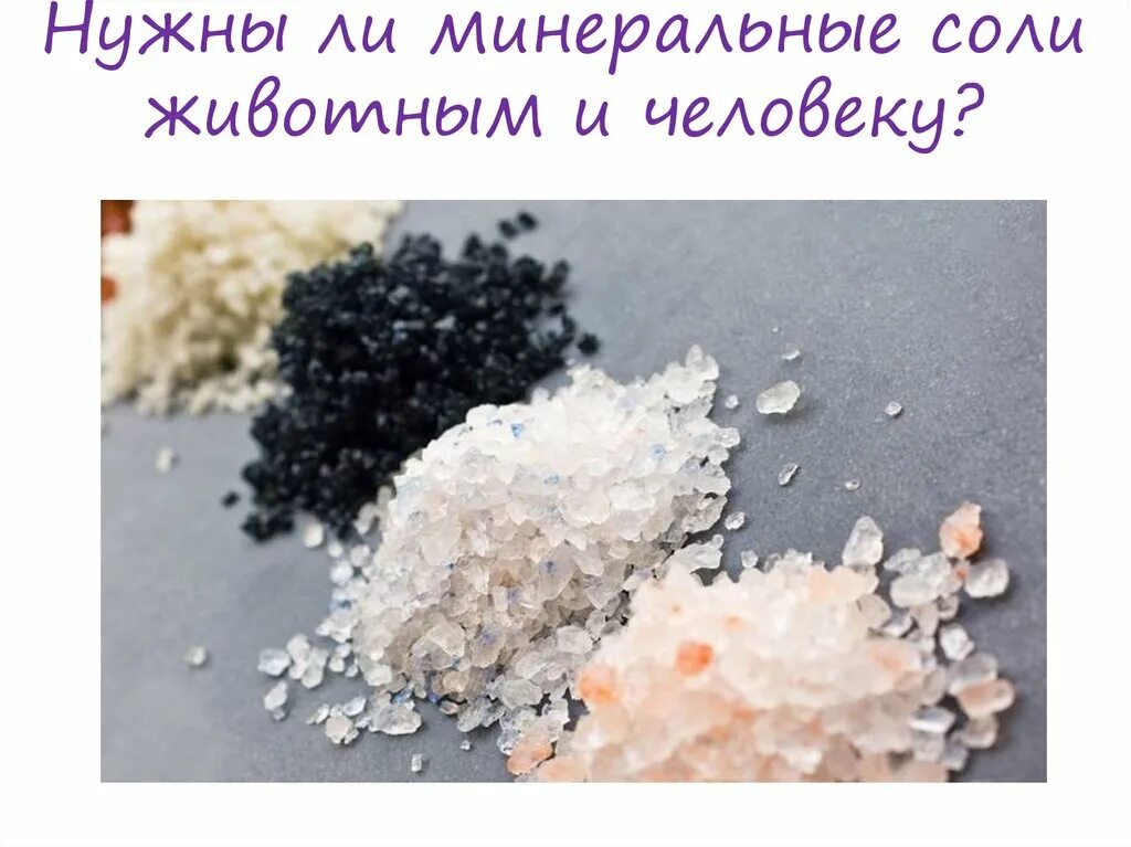 Растения содержащие минеральные соли. Минеральные соли. минеральные воды в природе соль.