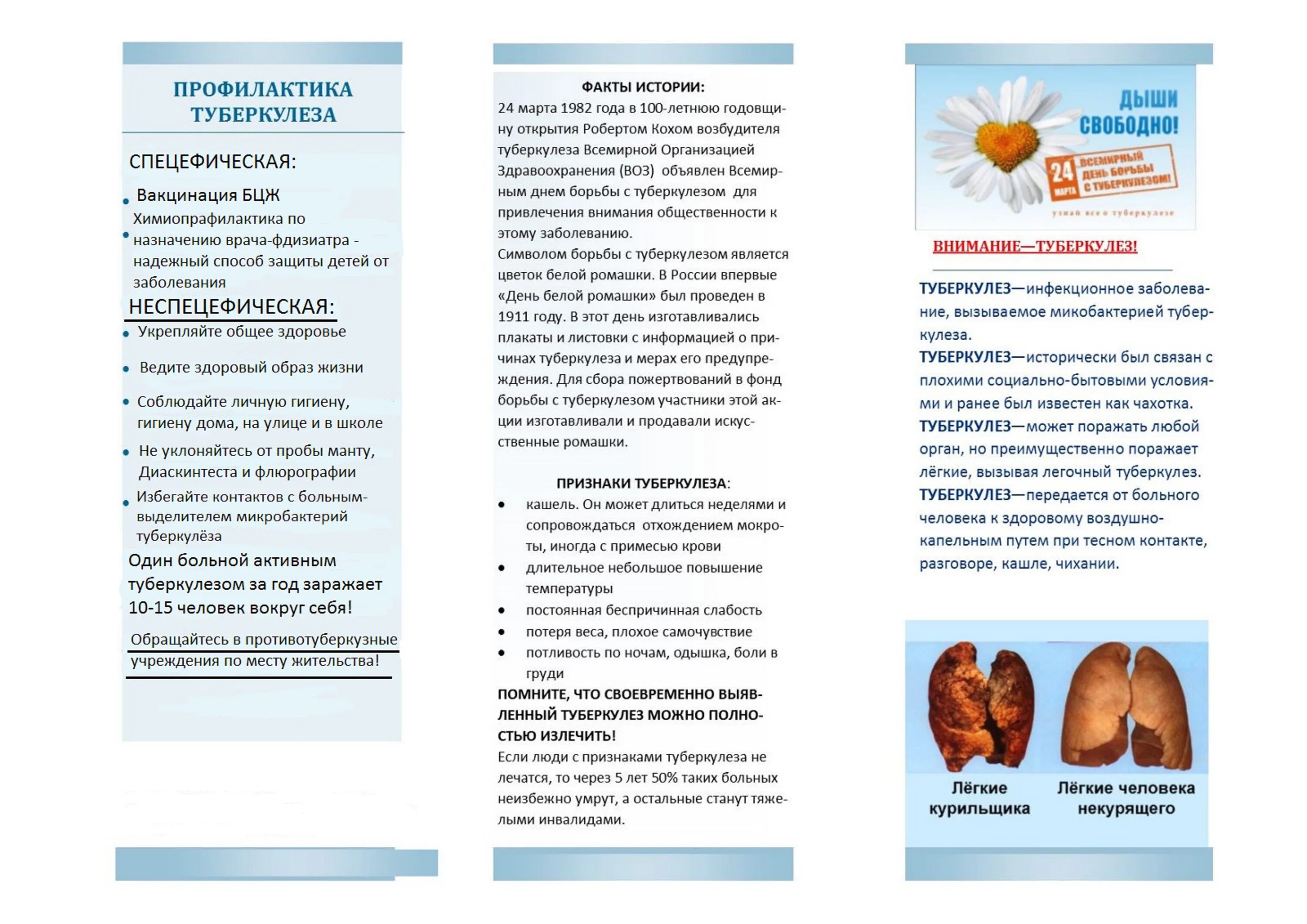 профилактика туберкулеза буклет. профилактика при туберкулезе. профилактика туберкулеза. профилактика туберкулеза тесты ответы. третичная профилактика туберкулеза.