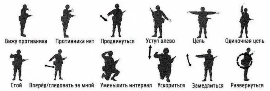 Видим противника сквозь. Тактические жесты и команды спецназа. Знаки жестов спецназа. Тактические жесты спецназа. Язык жестов спецназа.