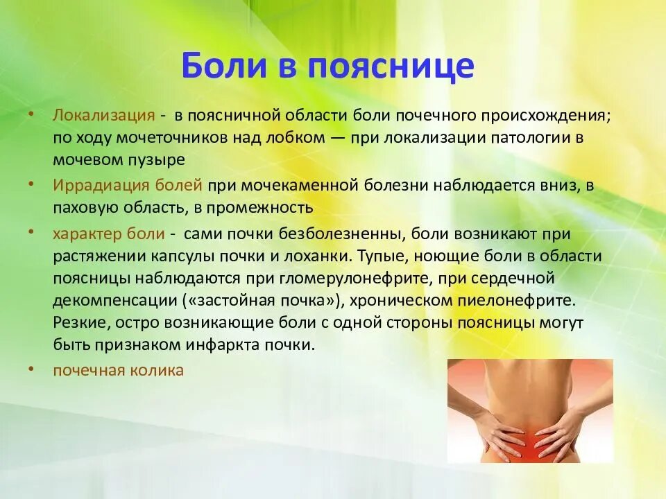 Застудила почки чем лечить у женщин. Симптомы при болях в почках у женщин. локализация боли в почках. если болят почки.
