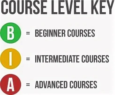 Course level. Beginner level icon. sex beginner intermediate advanced except.