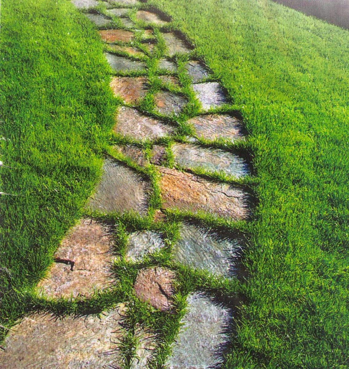 прогулка по тропинке. садовые шаговые дорожки. первая ступенька в дорожку. дорожка из плит. шагающую дорожку.