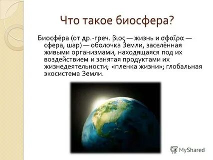 Презентация на тему биосфера