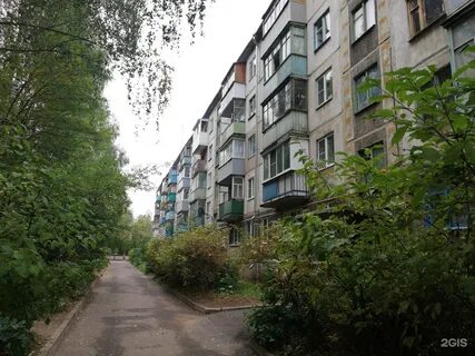 Кострома димитрова