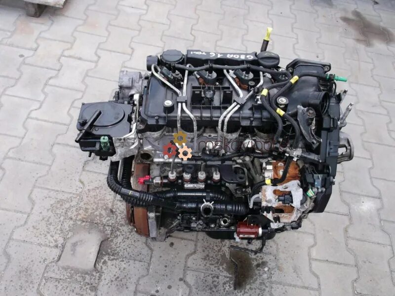Форд фокус 1 дизель двигатель. Двигатель форд фокус дизель 1. Ford c-max 2008 1. Двигатель форд фокус дизель 1. 6 tdci hdi дроссель.