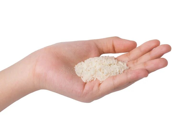 Рис держит воду. Горсть риса. Горсть риса в руке. Рисовое зернышко на руке. Пригоршня риса.