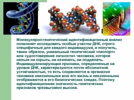 Молекулярно генетический примеры
