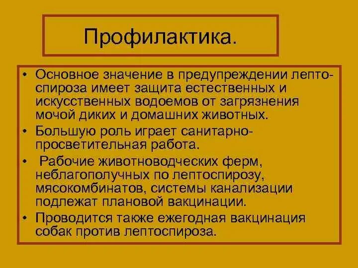 Лептоспироз это что за болезнь. Профилактика лептоспироза. Профилактика при лептоспирозе. Профилактика лептоспироза у человека. Лептоспироз меры профилактики.