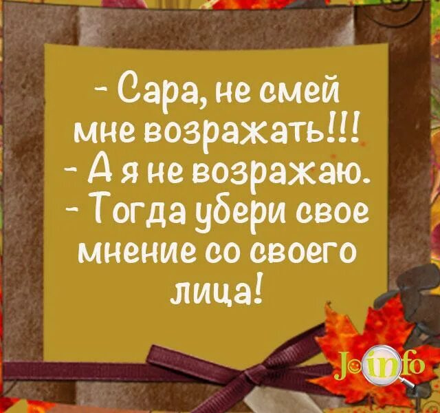 Вчера мем. Вчера моя мне возразить решила так. Вчера моя мне возразить. Кот мем 2023. Вчера моя мне возразить.