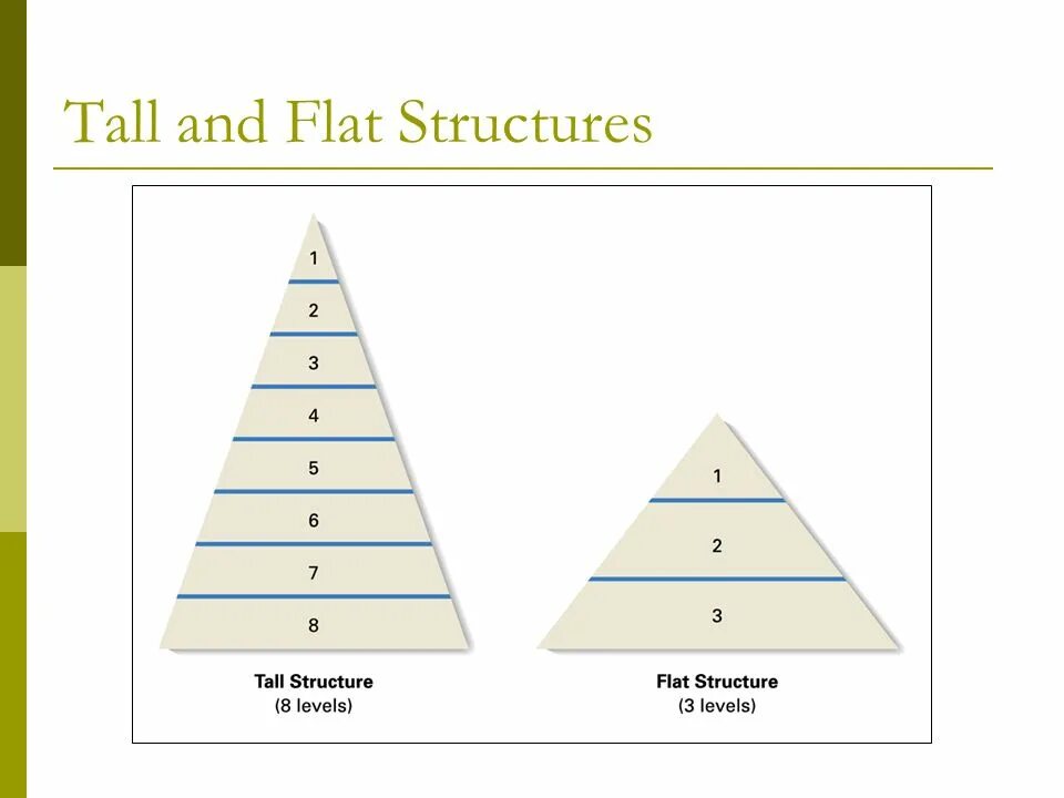 Flat structure. Tall organizational structure. flat structure of organization. tall and flat organization. flat organizational structure.