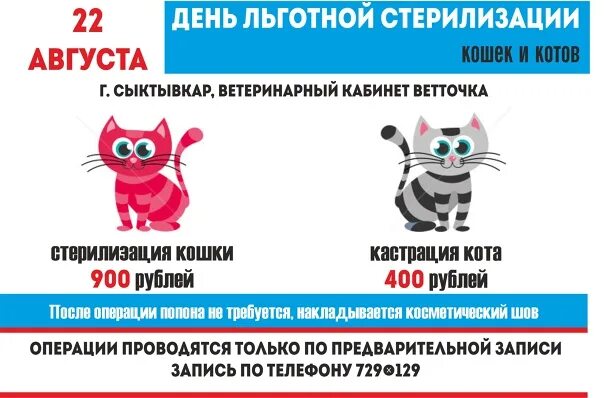 Стерилизуйте кошек картинка. Стерилизация кошки рисунки. Стерилизуйте животных. День стерилизации кошек. День стерилизации кошек.