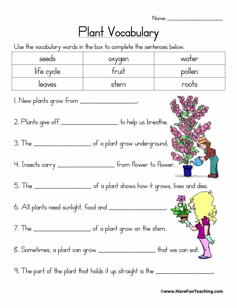 Flower exercise. Растения Worksheets for Kids. English Worksheet растения. Vocabulary Worksheets. Plants Vocabulary.