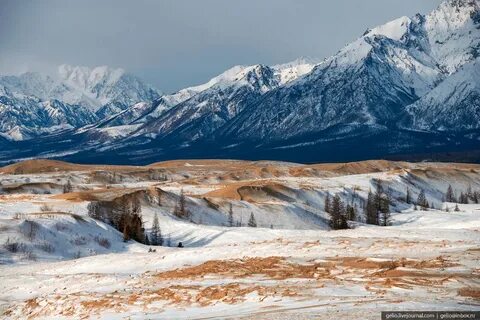 Самая северная пустыня