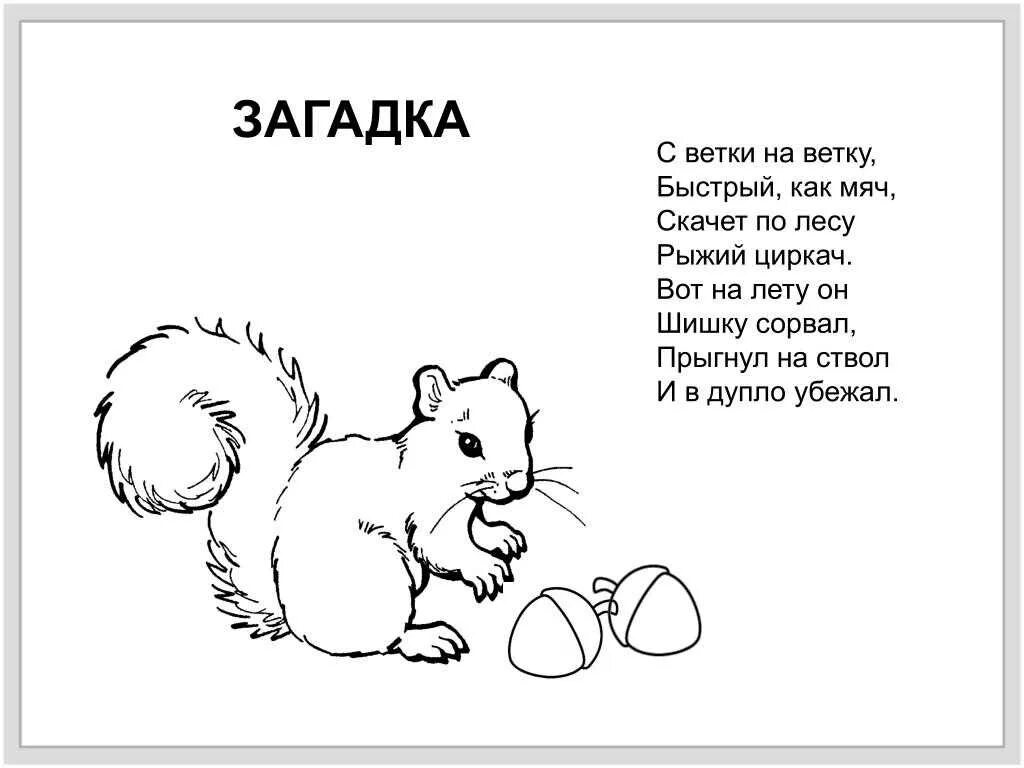 Загадки для детей 3 лет про животных. Загадки. загадки с рисунками. загадки о животных для детей 1 класса. загадка с рисунком отгадкой.