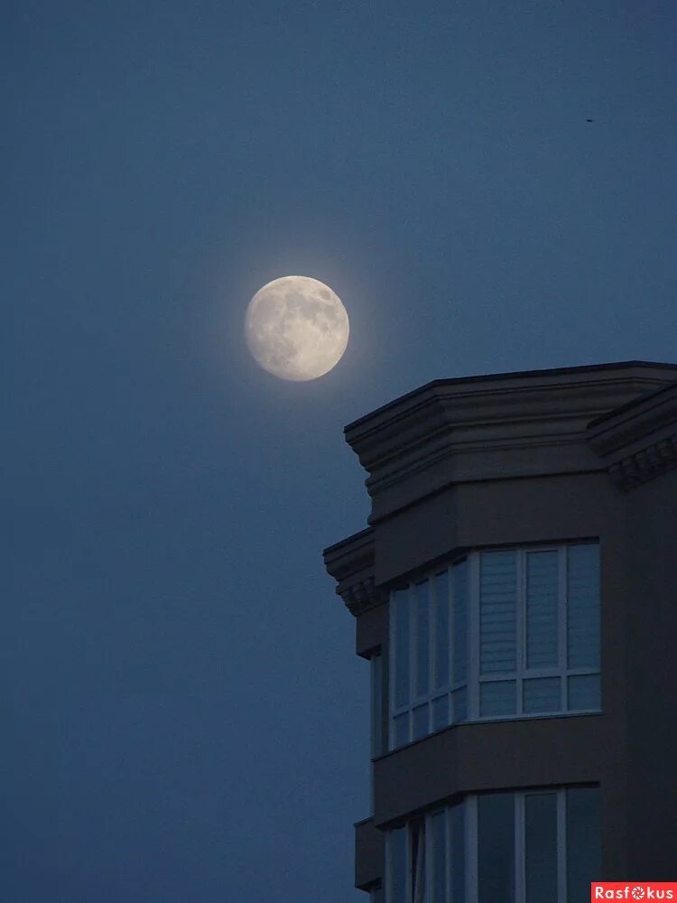Луна над крышей дома. Луна над домами. Луна на крыше. Луна над крышами домов. Дом на Луне.