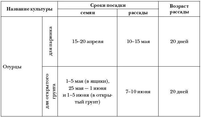 Время посадки семян огурцов