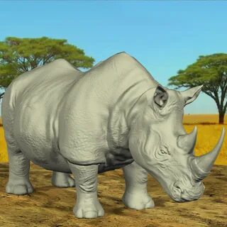 Rhinoceros 3d