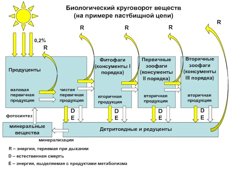 Биологический круговорот веществ. Потоки вещества и энергии в экосистеме схема. Поток вещества и энергии в биосфере схема. Поток энергии в биосфере.