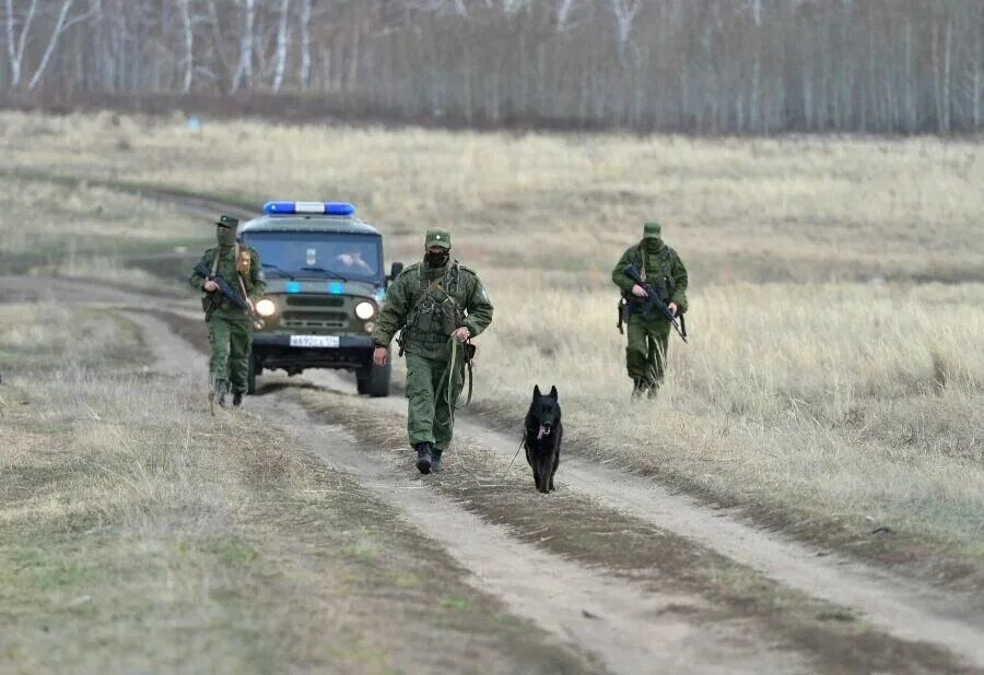 Пограничники. Российские пограничники. Учения пограничников. Пограничник на границе. Попытка прорыва в белгородской области сегодня