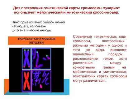 Где на практике используют генетические карты хромосом