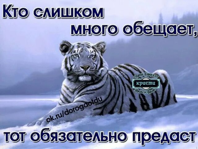 Человек много обещает. Кто много обещает тот. Кто много обещает тот обязательно предаст. Кто много обещает тот обязательно предаст картинки. Кто слишком много обещает.