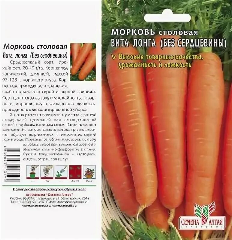 Морковь про 2024 года. Морковь без сердцевины сорта. Семена Алтая. Семена Алтая морковь.